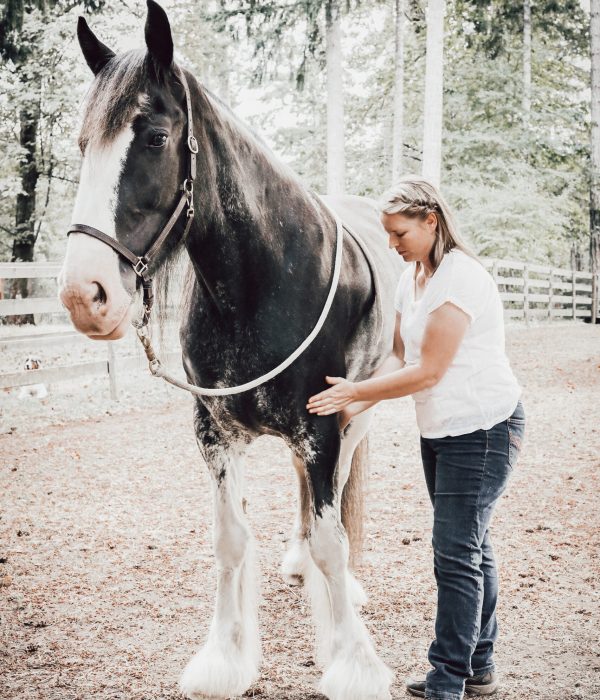 Anne Temme - Natural Spirit